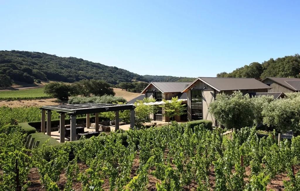 napa-kenzo-04
