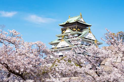 Osaka Castle among spring cherry blossoms