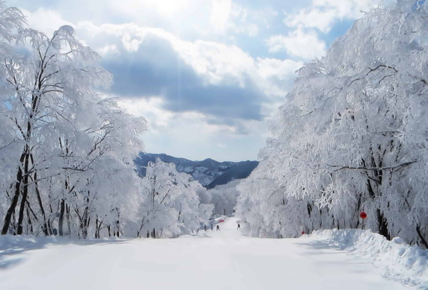 Snow-covered ski run in Hakuba, Japan